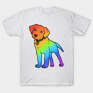 Labrador - Gay Pride! T-Shirt
